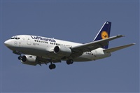 Jos Miguel Bernases - Noisy Spotters. Click to see full size photo