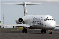 Ayoze Santana Mendez - Canary Islands Spotting. Click to see full size photo