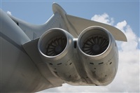 Rodrigo Carvalho - Noisy Spotters. Click to see full size photo