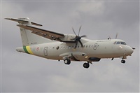 JF Alemn-GranCanariaSpotters. Click to see full size photo