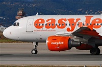 Rubn Gil - Noisy Spotters. Click to see full size photo