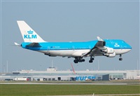 Chalo Canary Islands Spotting. Haz click para ampliar