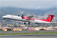 Miguel A. gueda Rguez.  (CANARY ISLANDS SPOTTING). Click to see full size photo