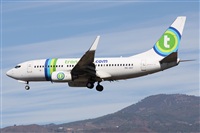 ©Alfonso Solís - Asociación Canary Islands Spotting. Click to see full size photo ©Alfonso Solís - Asociación Canary Islands Spotting. Click to see full size photo