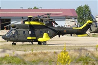 H.volar. Click to see full size photo