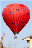Josep Oll. Click to see full size photo