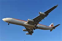 Miguel A. gueda Rguez.  (CANARY ISLANDS SPOTTING). Click to see full size photo
