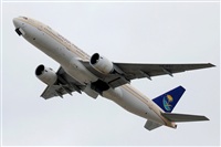 Rodrigo Carvalho - Noisy Spotters. Click to see full size photo