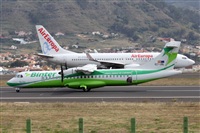 Nacho Rodriguez - Canary Islands Spotting. Click to see full size photo
