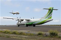 ©Nacho Rodriguez - Canary Islands Spotting. Click to see full size photo ©Nacho Rodriguez - Canary Islands Spotting. Click to see full size photo