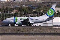 ©Alfonso Solís - Asociación Canary Islands Spotting. Click to see full size photo ©Alfonso Solís - Asociación Canary Islands Spotting. Click to see full size photo