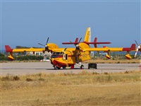 Manuel Fernandez. Click to see full size photo
