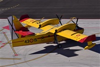 Adolfo Bento - Gran Canaria Spotters. Haz click para ampliar