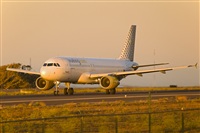 Javier de la Cruz - CANARY ISLANDS SPOTTING. Click to see full size photo