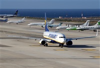 Alejandro H.L - Gran Canaria Spotters. Click to see full size photo
