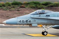 Florencio Martn Melin - Lanzarote Spotters. Click to see full size photo