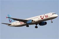 Miguel Alia - Noisy Spotters. Click to see full size photo