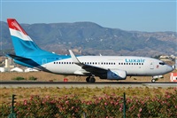 ©Salvador de la Rubia ( Marbella Spotters ). Click to see full size photo ©Salvador de la Rubia ( Marbella Spotters ). Click to see full size photo