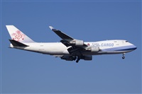 Miguel Alia - Noisy Spotters. Click to see full size photo