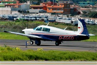 Alejandro Bethencourt (Canary Islands Spotting). Click to see full size photo