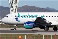 Miguel Alia - Noisy Spotters. Click to see full size photo