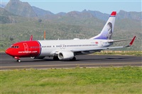 Miguel A. gueda Rguez.  (CANARY ISLANDS SPOTTING). Click to see full size photo