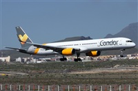 ©Alfonso Solís - Asociación Canary Islands Spotting. Click to see full size photo ©Alfonso Solís - Asociación Canary Islands Spotting. Click to see full size photo