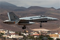 Bartolom Fernndez - Gran Canaria Spotters. Click to see full size photo