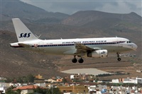 ©Adolfo Bento - Gran Canaria Spotters. Click to see full size photo ©Adolfo Bento - Gran Canaria Spotters. Click to see full size photo