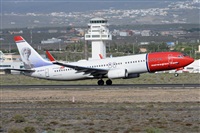 Miguel A. gueda Rguez.  (CANARY ISLANDS SPOTTING). Haz click para ampliar
