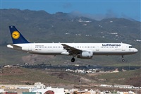 Bartolom Fernndez - Gran Canaria Spotters. Click to see full size photo
