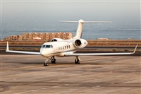 Javier de la Cruz - CANARY ISLANDS SPOTTING. Click to see full size photo
