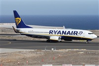 ©Alfonso Solís - Asociación Canary Islands Spotting. Click to see full size photo ©Alfonso Solís - Asociación Canary Islands Spotting. Click to see full size photo