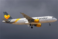 Saimon J Rodriguez   -   Canary Islands Spotting. Click to see full size photo