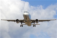 Saimon J Rodriguez   -   Canary Islands Spotting. Click to see full size photo