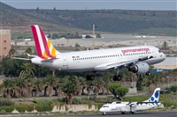 Bartolom Fernndez - Gran Canaria Spotters. Click to see full size photo
