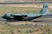 ©J. Victor Vega-Gran Canaria Spotters. Click to see full size photo ©J. Victor Vega-Gran Canaria Spotters. Click to see full size photo