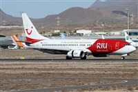 ©Alfonso Solís - Asociación Canary Islands Spotting. Click to see full size photo ©Alfonso Solís - Asociación Canary Islands Spotting. Click to see full size photo