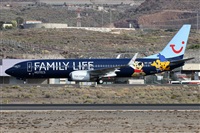 ©Alfonso Solís - Asociación Canary Islands Spotting. Click to see full size photo ©Alfonso Solís - Asociación Canary Islands Spotting. Click to see full size photo
