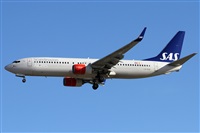 Alfonso Sols - Asociacin Canary Islands Spotting. Click to see full size photo