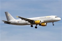 ©Alfonso Solís - Asociación Canary Islands Spotting. Click to see full size photo ©Alfonso Solís - Asociación Canary Islands Spotting. Click to see full size photo