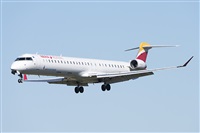 Luciano de la Rosa Gutirrez (Tenerife) Canary Islands Spotting. Click to see full size photo
