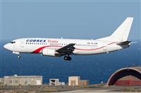 ©Adolfo Bento - Gran Canaria Spotters. Click to see full size photo ©Adolfo Bento - Gran Canaria Spotters. Click to see full size photo