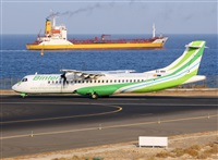 Adrin Alonso Lemes - Lanzarote Spotters. Haz click para ampliar