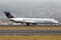 Nacho Rodriguez - Canary Islands Spotting. Click to see full size photo