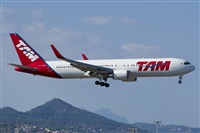 ©Saimon J Rodriguez - Canary Islands Spotting. Click to see full size photo ©Saimon J Rodriguez - Canary Islands Spotting. Click to see full size photo