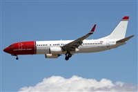 ©Alfonso Solís - Asociación Canary Islands Spotting. Click to see full size photo ©Alfonso Solís - Asociación Canary Islands Spotting. Click to see full size photo