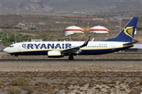Alfonso Sols - Asociacin Canary Islands Spotting. Haz click para ampliar