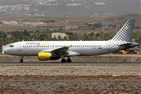 ©Alfonso Solís - Asociación Canary Islands Spotting. Click to see full size photo ©Alfonso Solís - Asociación Canary Islands Spotting. Click to see full size photo