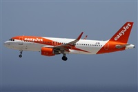 Alfonso Sols - Asociacin Canary Islands Spotting. Haz click para ampliar